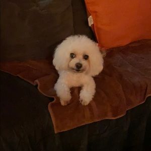 Meet your Posher, Jan